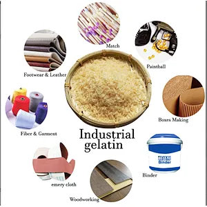 Factory outlet Halal China manufacturer high-quality bovine gelatine - bloom 8-60 mesh